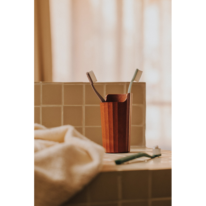 COSMIC AVENIR PORTE-BROSSE A DENTS A POSER TUILE  DE TOITURE NATUR