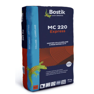 BOSTIK MC 220 EXPRESS GRIS 25 KG C2F