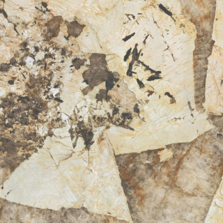 PLATEAU CARRE 45X45X1,2 DESERT SOUL POLISHED 