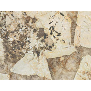 PLATEAU RECTANGULAIRE 240X100X1,2 DESERT SOUL  POLISHED