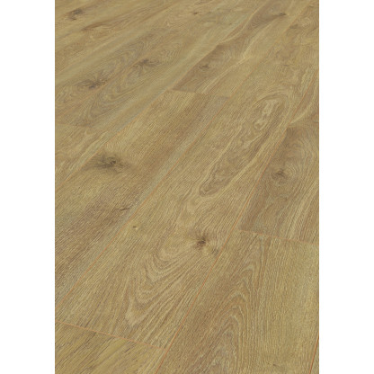 TER HURNE SOLS STRATIFIES CHENE ESTRELLA BROSSE  LINEAIRE 1288X195X8MM CHANFREIN EN V 4 COTES 262