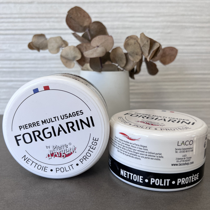 PIERRE MULTI USAGE FORGIARINI 300GRS 