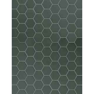 TERRATINTA HEXA GREEN ECHO MOS. 31,6X31,6  (4,3X3,8) TTHX07MHN